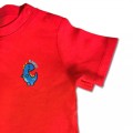 Baby Boys Dinosaur T-Shirt - Blue Embroidery