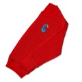 Boys Dinosaur Jumper - Blue Embroidery