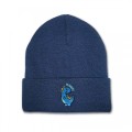 Kids Dinosaur Beanie Hat - Blue Embroidery