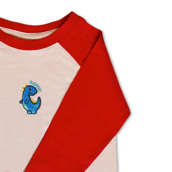 Boys Dinosaur T Shirt - Blue embroidery