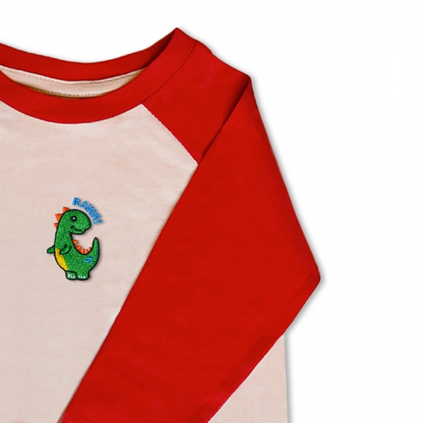 Boys Dinosaur T Shirt - Green embroidery
